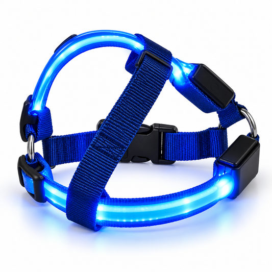 GlowPaw LED Dog Harness – Blue Light-Up Night Walk Harness